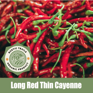 Long Red Thin Cayenne, Pepper